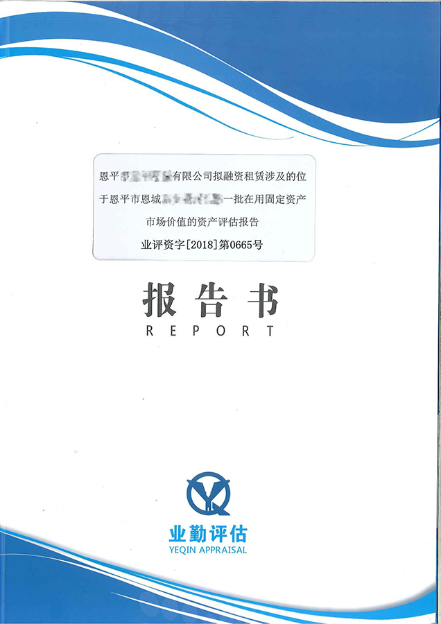 广州恩平企业固定资产抵押价值评估分析报告