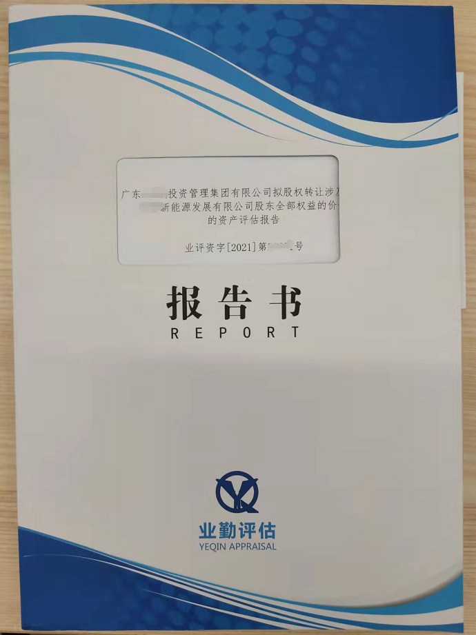 广东新能源发展有限公司股东全部权益的价值资产评估报告书