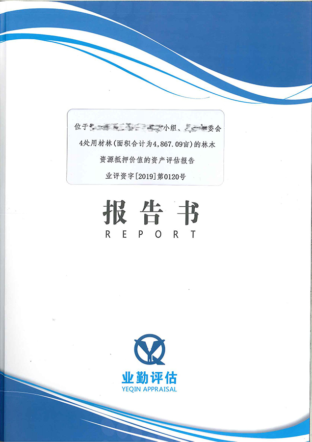 广州4处林木资产抵押贷款评估价格