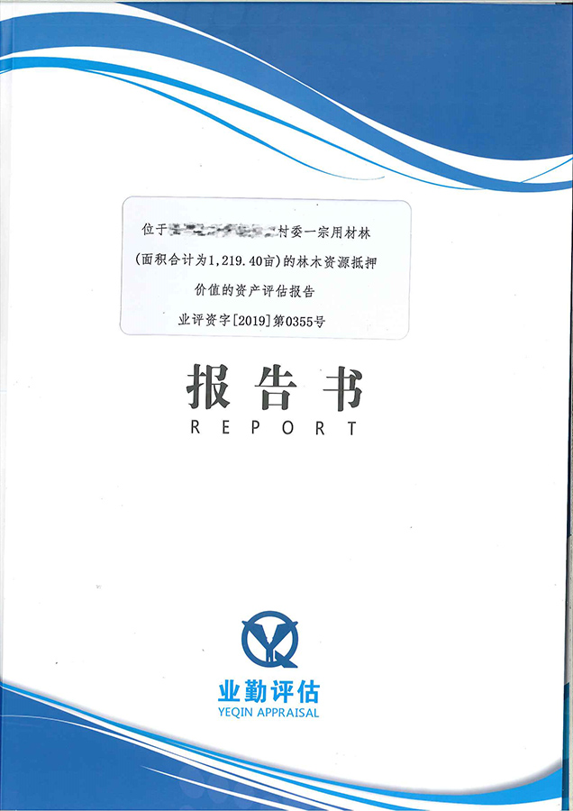 1宗林木资源抵押价格评估报告