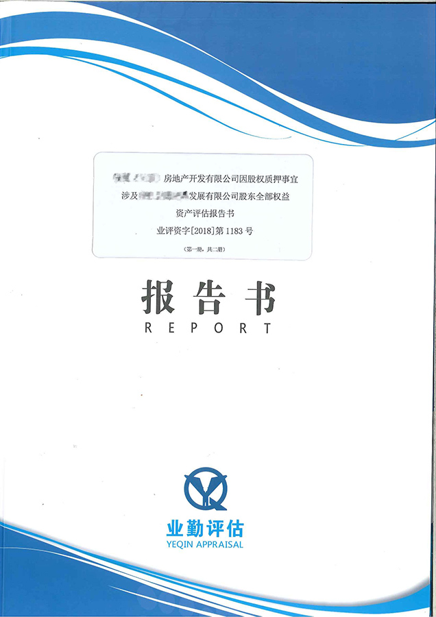 公司股东权益评估报告书