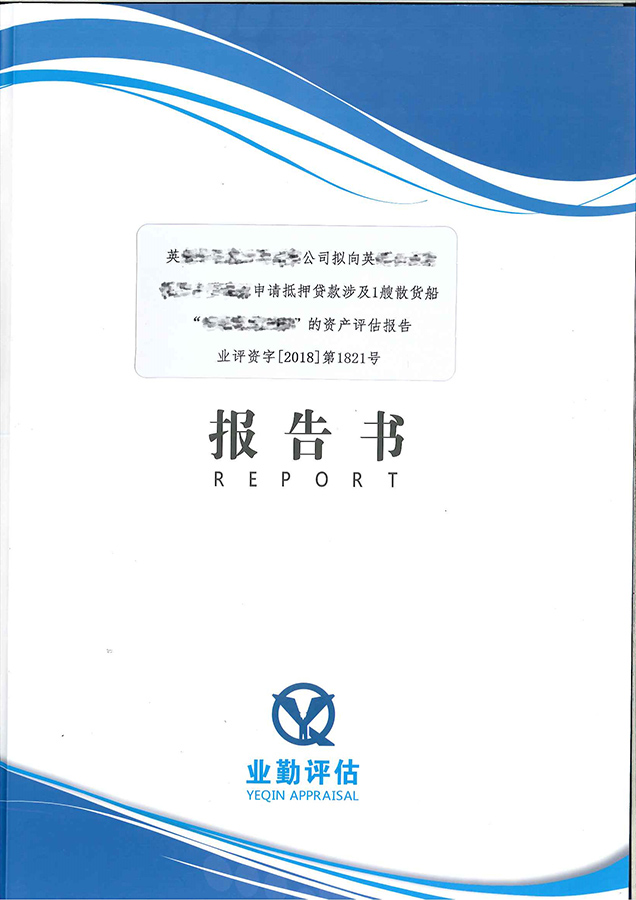 散货船评估报告书