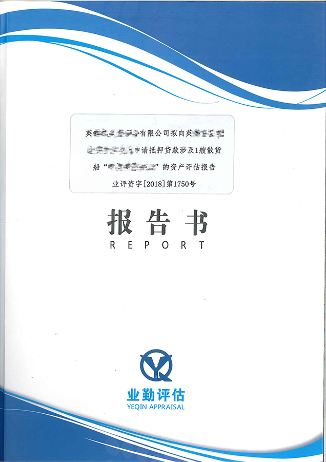 某公司散货船评估