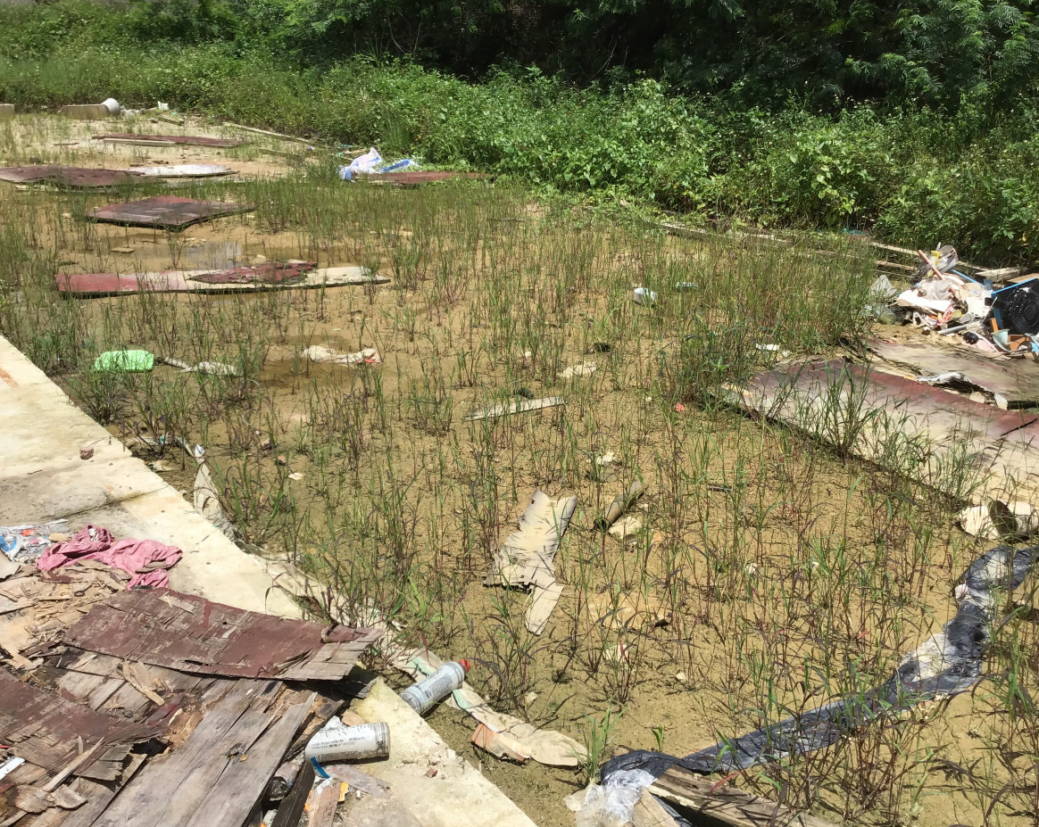 黄浦区住宅土地使用权抵押评估