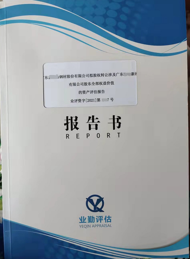 广东某新材料有限公司股东全部权益的价值的资产评估报告