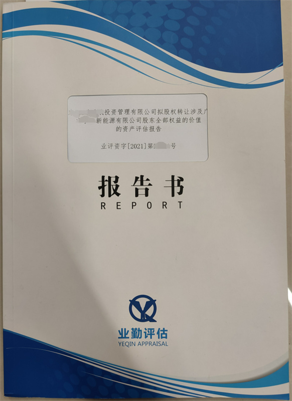 广东新能源有限公司股东全部权益的价值的资产评估报告