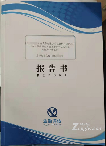 广州企业价值评估报告书