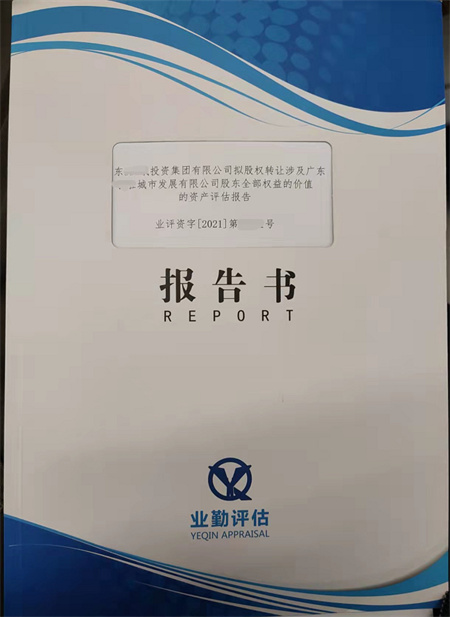 企业股权评估报告书