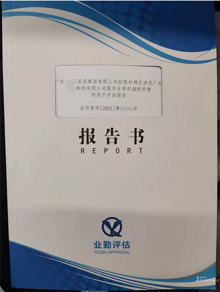 股权价值评估报告书