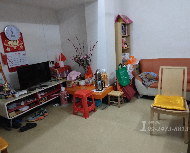 房地产价值评估报告