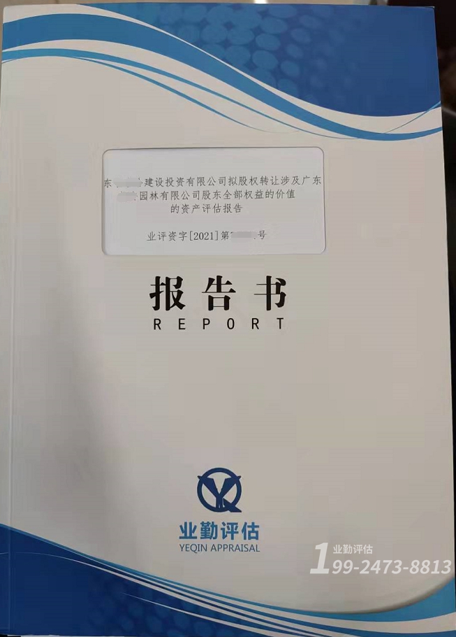 企业价值评估报告
