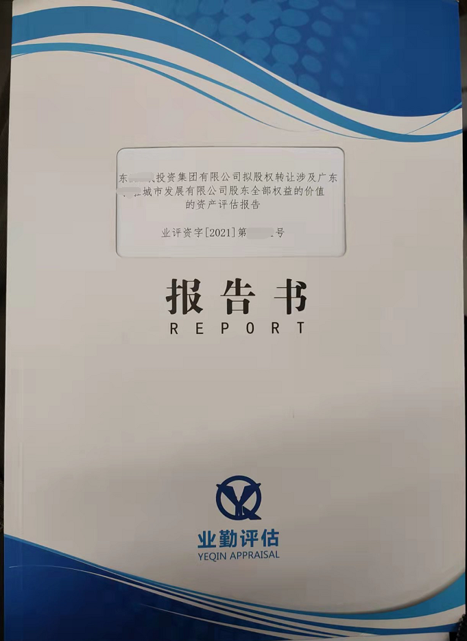 广东投资集团有限公司股东全部权益的价值的资产评估报告