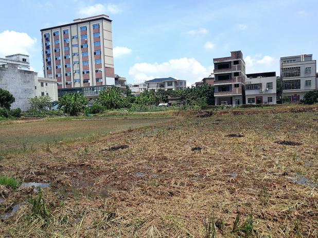 位于越秀区共69处办公、住宅、商业房地产及综合用地 的市场价值评估