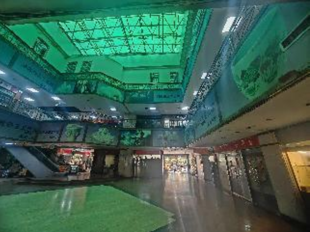 广东省******集团有限公司拟以编制财务报表为目的所涉及广东******发展有限公司持有的投资性房地产公允价值评估项目资产评估报告